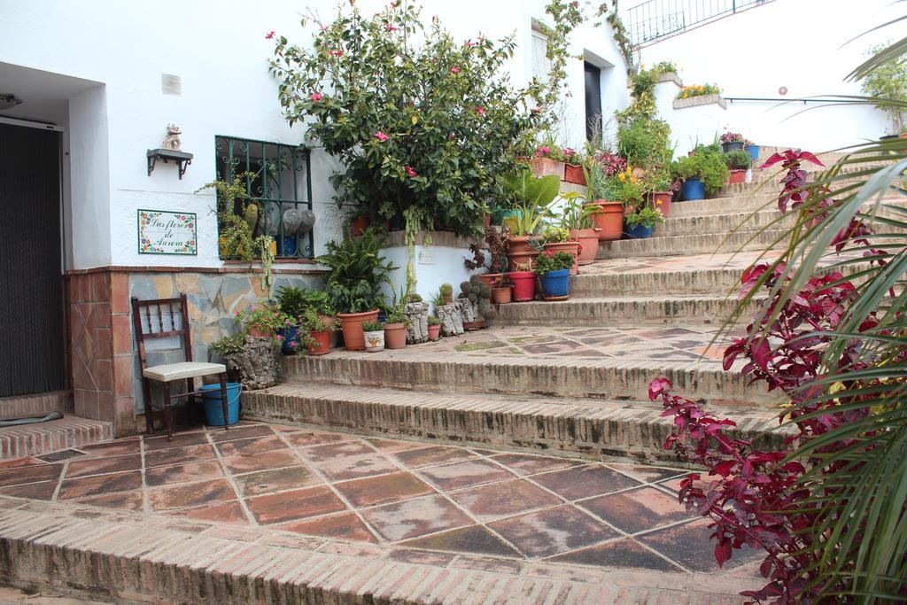 Casas Rurales Jardines Del Visir Genalguacil Luaran gambar