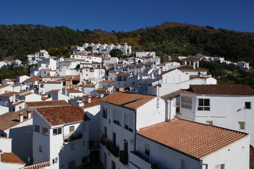 Casas Rurales Jardines Del Visir Genalguacil Luaran gambar