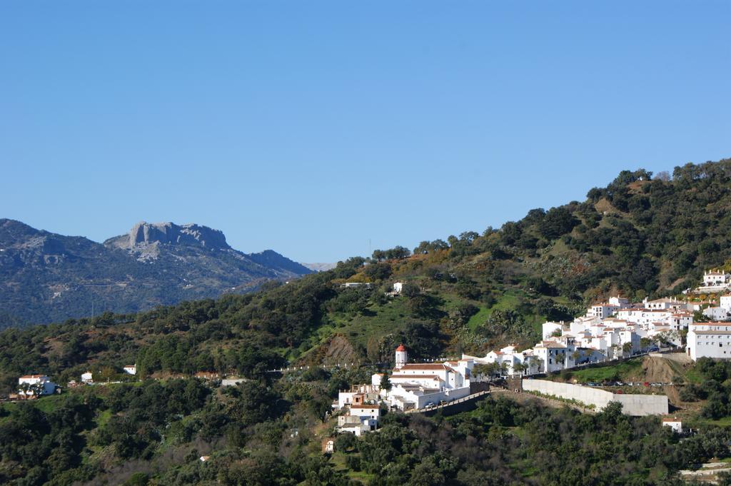 Casas Rurales Jardines Del Visir Genalguacil Luaran gambar